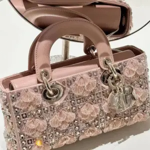 DIOR Lady D-Joy Bag